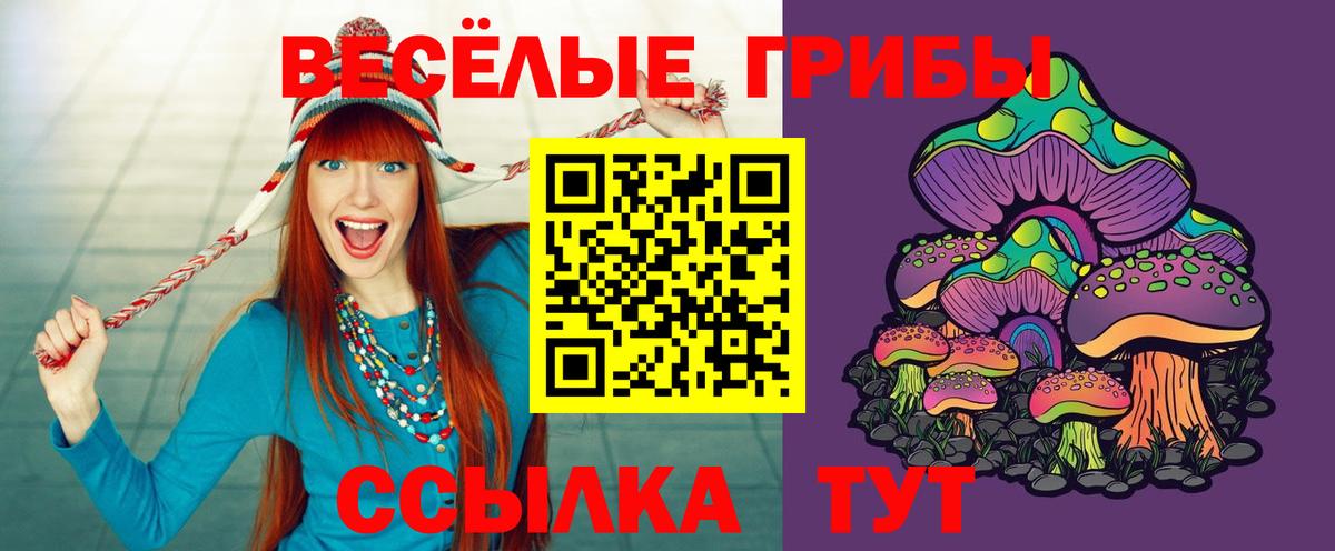 Псилоцибиновые грибы прущие грибы  Галлюциногенные грибы GOLDEN TEACHER  Хабаровск  Вход с VPN 